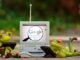 Google Suche Fersensporn