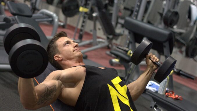 fitness-3502830_1280 Muskelaufbau